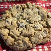 Delicious V/GF chocolate chip cookie  at Chimera Coffee in Bangor