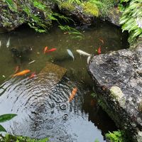  at Konohanaya - 木ノ花屋 in Nagano