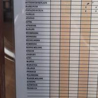 All vegan flavours at Eiscafé Dolomiti in Bad Krozingen