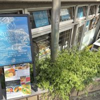   at LOTUS CAFE TOKYO in Tokyo