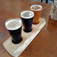 Beer paddle at Tinshed Brewery in Dungog