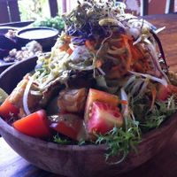 Meg’s Big Bowl (greens, veggies, roasted seeds, avocado, tofu and tempeh crunch)
 at The Garden Kafe at The Yoga Barn in Ubud