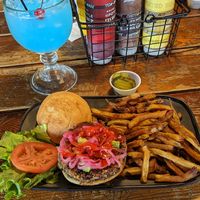 Vegabond vegan burger with fries at Twisted Root Burger Co in Arlington