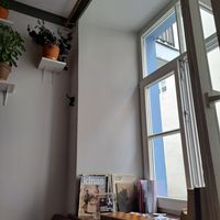 Cute indoors, many plants and books at Vieta in Vilnius