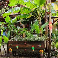 Lovely spot  at Yahongreh? in Roatan