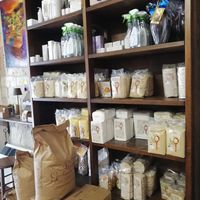 Shelves with macrobiotic foods at Laboratorio Alimentare Naturale  in Ascoli Piceno