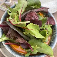   at Vilai Vegan House in Hamburg