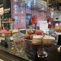 Counter display  at Haute Donuts in Shaker Heights