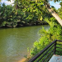 The stunning view from our table at Farm Hug You - ฟาร์มฮัก in Chumphon