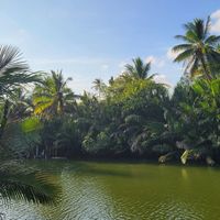 The stunning view from our table part 3 at Farm Hug You - ฟาร์มฮัก in Chumphon