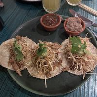 Tacos veganos  at Casa Arcas in San Miguel De Allende