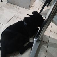 Gracias 😊🖤 at Cafeteria Riglos in Jaca