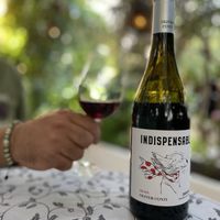 Vino indispensable   at Vostra Llar in Palamos