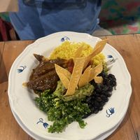   at Plant Junkie - Front St in New York City