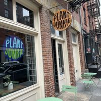  at Plant Junkie - Front St in New York City