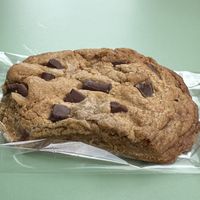   at Plant Junkie - Front St in New York City