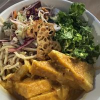   at Plant Junkie - Front St in New York City