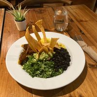 Yucatan Smack at Plant Junkie - Front St in New York City