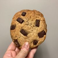 Huge cookie at Plant Junkie - Front St in New York City