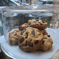  at Plant Junkie - Front St in New York City