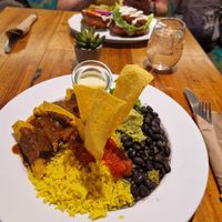  at Plant Junkie - Front St in New York City