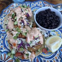 Fried avocado tacos  at T.C. Organic in Playa Del Rey
