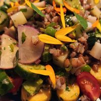 Wheat berry salad at Wild Mountain Food & Drink in Sooke