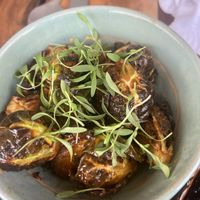 Brussels   at SLVJ Masaryk in Mexico City