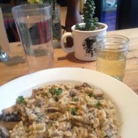 Mushroom stroganoff: delicious and creamy at Harlow in Portland