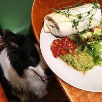 Burrito at Vegtral Restaurace in Prague