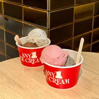 Raspberry Lychee Rose, Black Sesame, Mint & Choco Chip, Vietnam Cacao vegan ice-cream at ANY1 CHOCO in Central Singapore