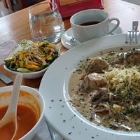  at Arbol de Seda in San Jose