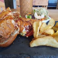  at Arbol de Seda in San Jose