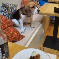 La star du Canithé at Le Canithé in Toulouse