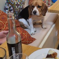 🥰 at Le Canithé in Toulouse