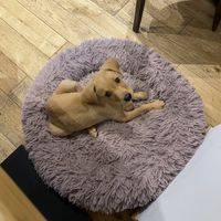   at Le Canithé in Toulouse