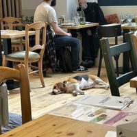   at Le Canithé in Toulouse