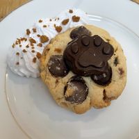   at Le Canithé in Toulouse