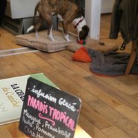  at Le Canithé in Toulouse