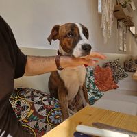  at Le Canithé in Toulouse