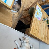   at Le Canithé in Toulouse