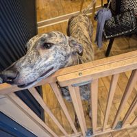  at Le Canithé in Toulouse