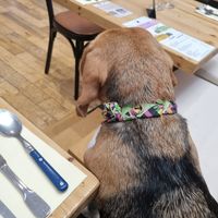  at Le Canithé in Toulouse