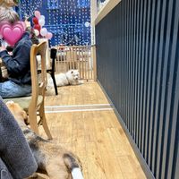   at Le Canithé in Toulouse