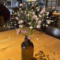 Warm and friendly atmosphere   at Sicily Cafe in Prague