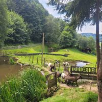  at Lebenshof MutimBauch in Ottenhoefen Im Schwarzwald