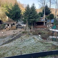 Enten, Ziegen, Gänse at Lebenshof MutimBauch in Ottenhoefen Im Schwarzwald