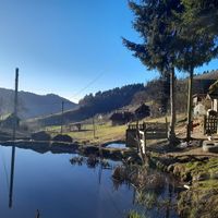  at Lebenshof MutimBauch in Ottenhoefen Im Schwarzwald