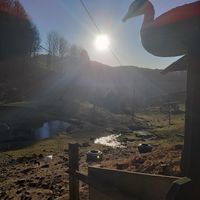  at Lebenshof MutimBauch in Ottenhoefen Im Schwarzwald