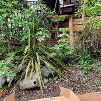  at Tupiniquim Brazil Crepes - Kiosk in Edinburgh